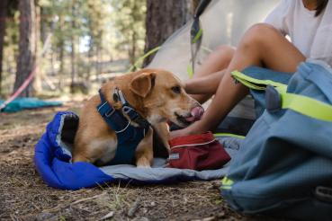 Ruffwear Quencher Fired Brick Gr. L